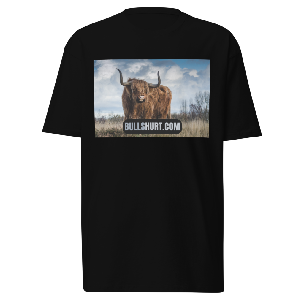 Bullshurt Brand, Premium Heavyweight Tee, Black